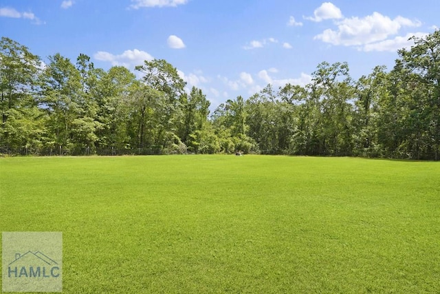 10581 Waycross Hwy, Screven, GA 31560 - photo 39