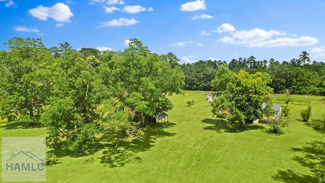 10581 Waycross Hwy, Screven, GA 31560 - photo 49