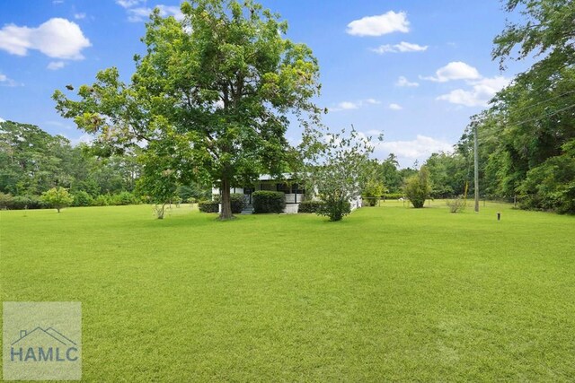 10581 Waycross Hwy, Screven, GA 31560 - photo 6