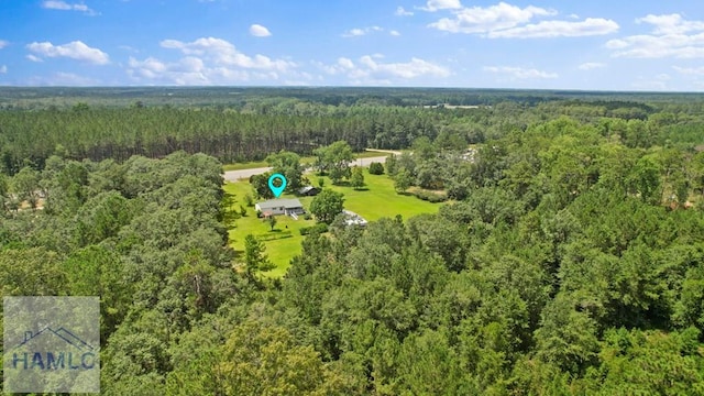 10581 Waycross Hwy, Screven, GA 31560 - photo 54