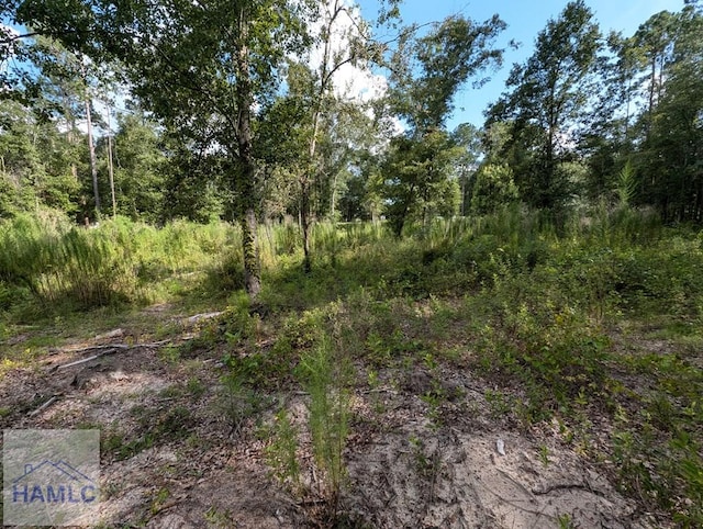 LOT34 Still Waters Way, Jesup, GA 31545 - photo 3