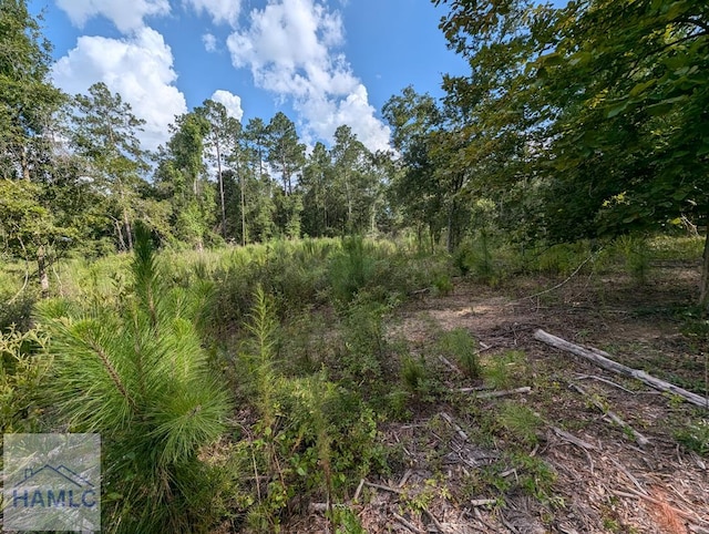 LOT34 Still Waters Way, Jesup, GA 31545 - photo 1