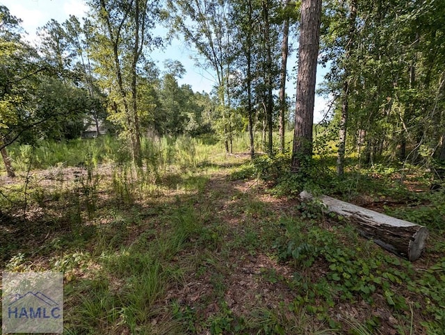 LOT34 Still Waters Way, Jesup, GA 31545 - photo 2