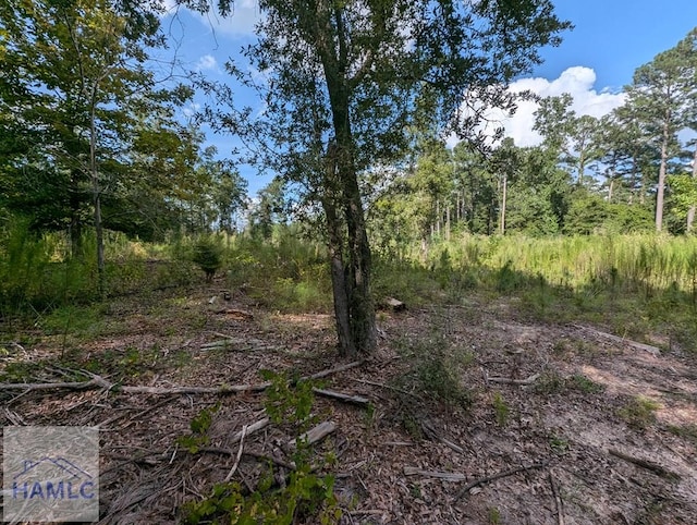 LOT34 Still Waters Way, Jesup, GA 31545 - photo 4