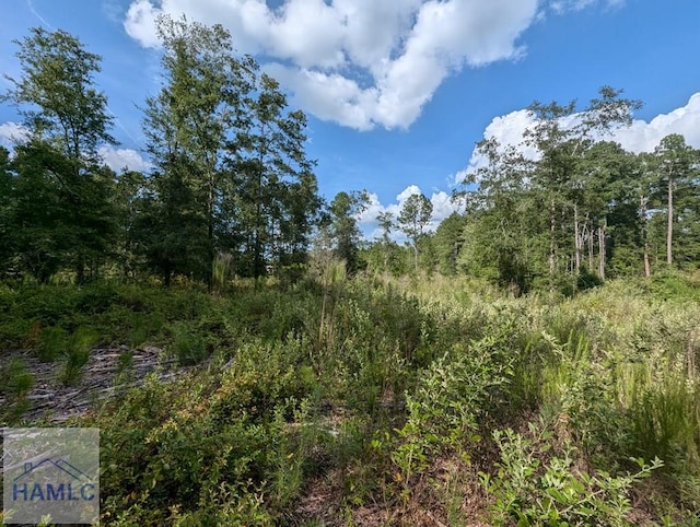 LOT34 Still Waters Way, Jesup, GA 31545 - photo 5
