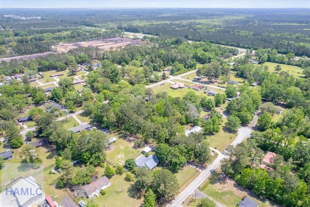 139 Pine Needly Dr, Richmond Hill, GA 31324 - photo 50