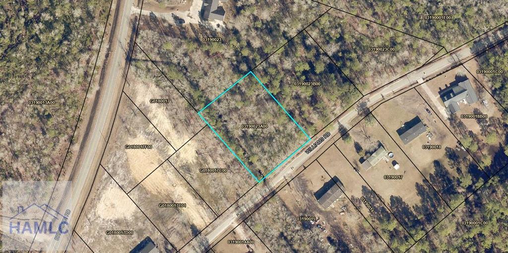 TRACT1 Williams St, Guyton, GA 31312 - photo 1