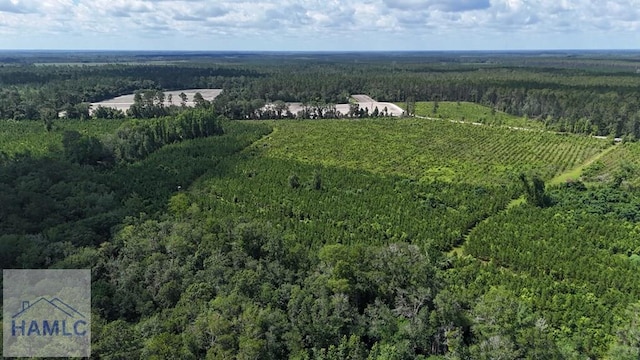 0 Bennett Mill Pond Rd, Odum, GA 31555 - photo 6