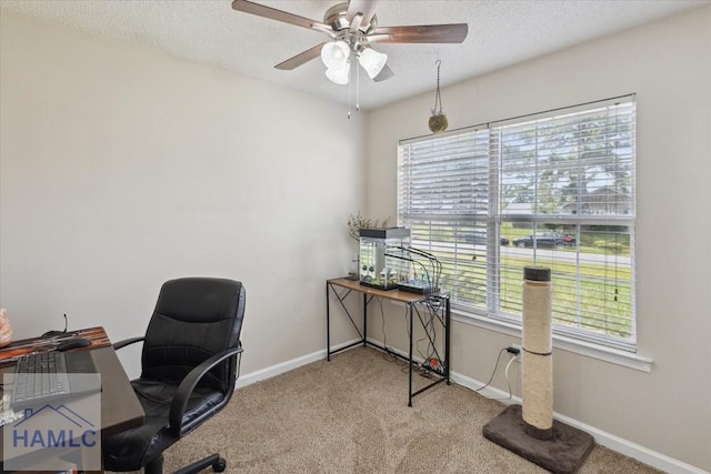 128 W Kenny Dr, Hinesville, GA 31313 - carpeted home office with healthy amount of natural light, a ceiling fan, and a textured ceiling
