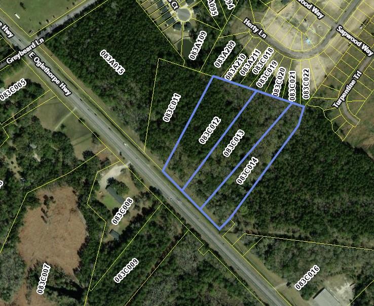 12.11AC Oglethorpe Hwy, Flemington, GA 31313 - photo 1