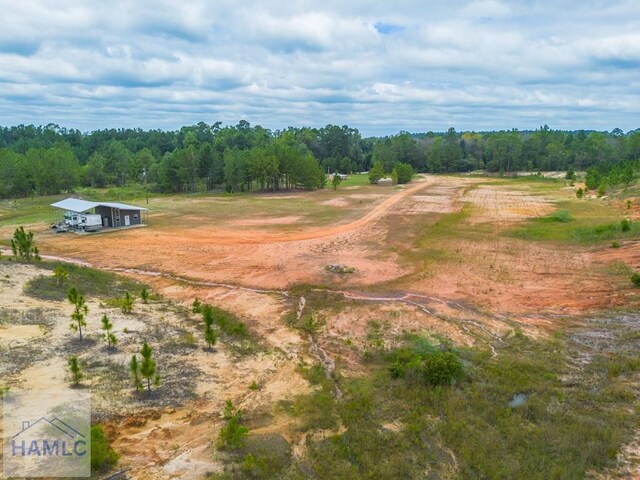 245 Starling Rd, Alma, GA 31510 - photo 5