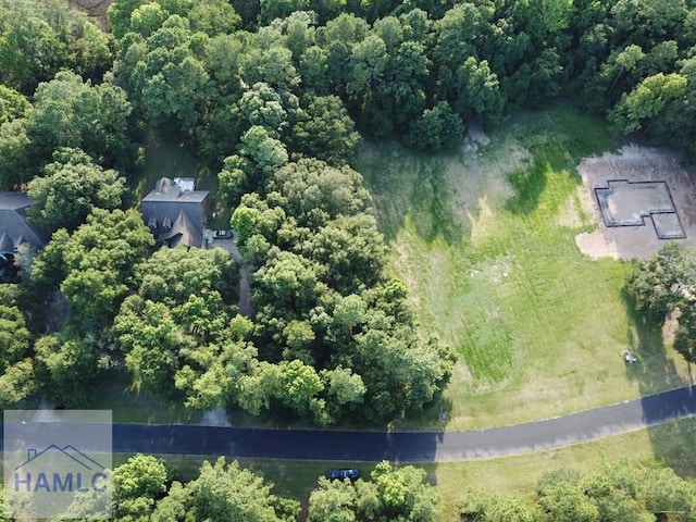 LOT405 Blackberry Ln, Townsend, GA 31331 - photo 4