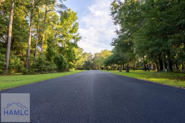 LOT405 Blackberry Ln, Townsend, GA 31331 - photo 3