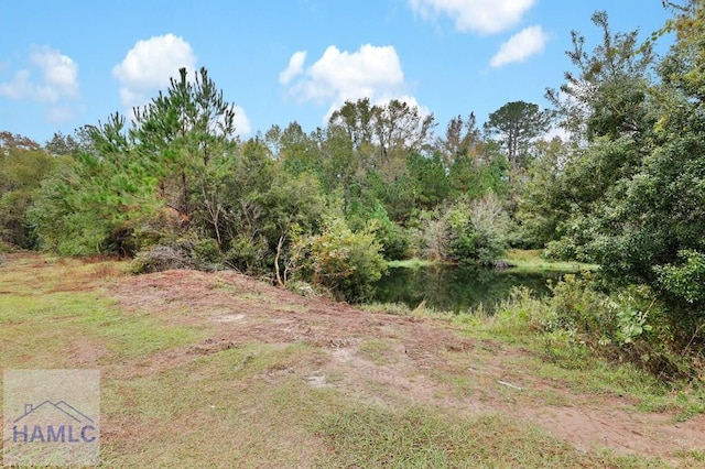 160 Hall St, Hinesville, GA 31313 - photo 29