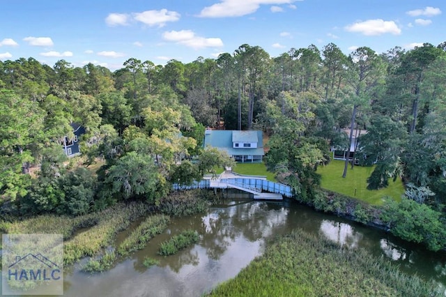 aerial view with a water view