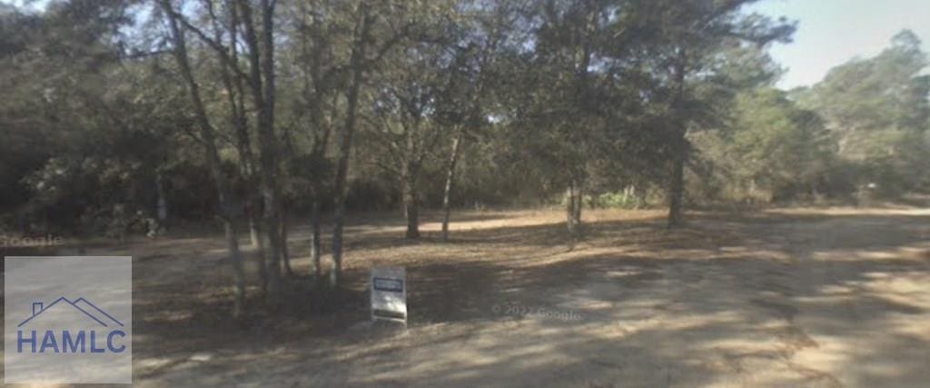 541 Live Oak Lane Rd, Pembroke, GA 31321 - photo 2