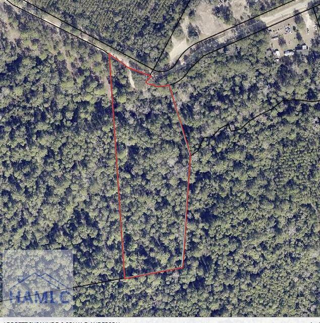 541 Live Oak Lane Rd, Pembroke, GA 31321 - photo 1