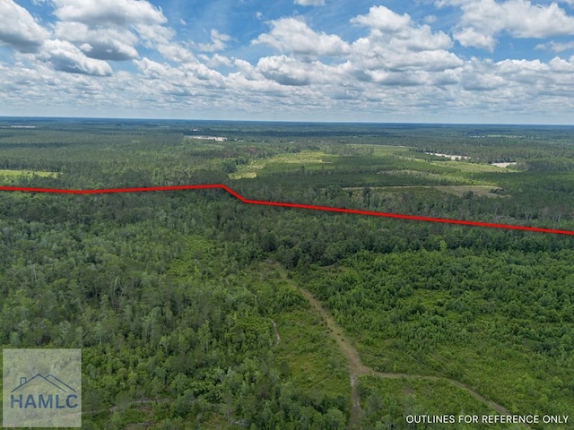 0 Collins Rd, Nicholls, GA 31554 - photo 8