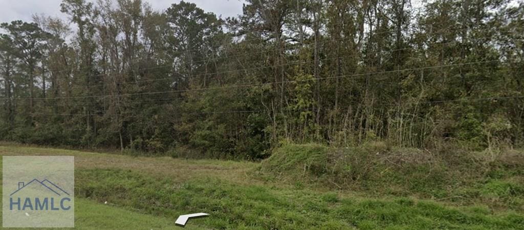 1931 S Coastal Hwy, Midway, GA 31320 - photo 4