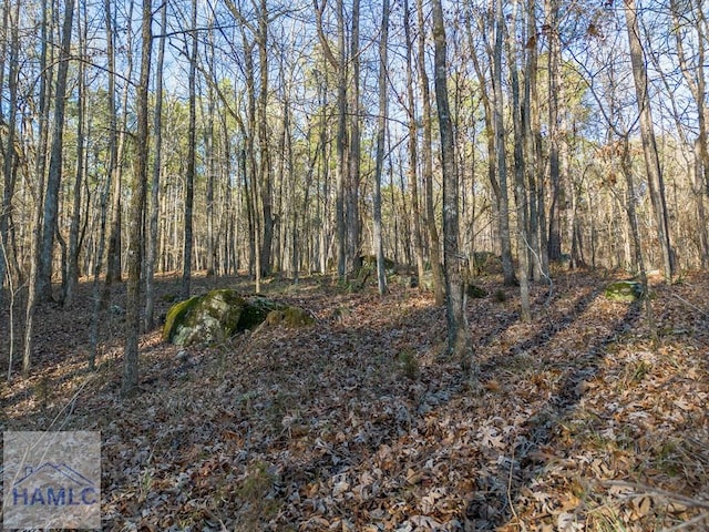0 Dennis Creek Rd, Talbotton, GA 31827 - photo 14