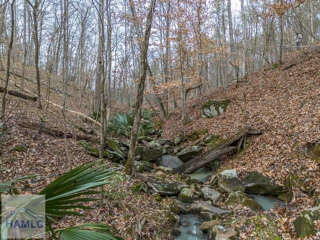 0 Dennis Creek Rd, Talbotton, GA 31827 - photo 7