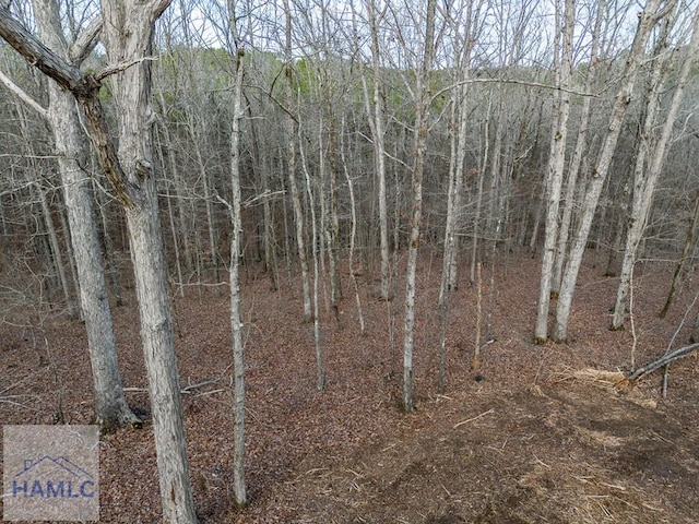 0 Dennis Creek Rd, Talbotton, GA 31827 - photo 8