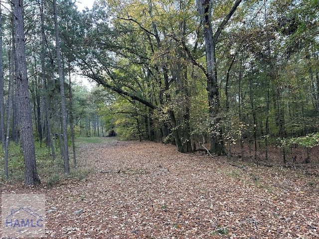 0 Dennis Creek Rd, Talbotton, GA 31827 - photo 43