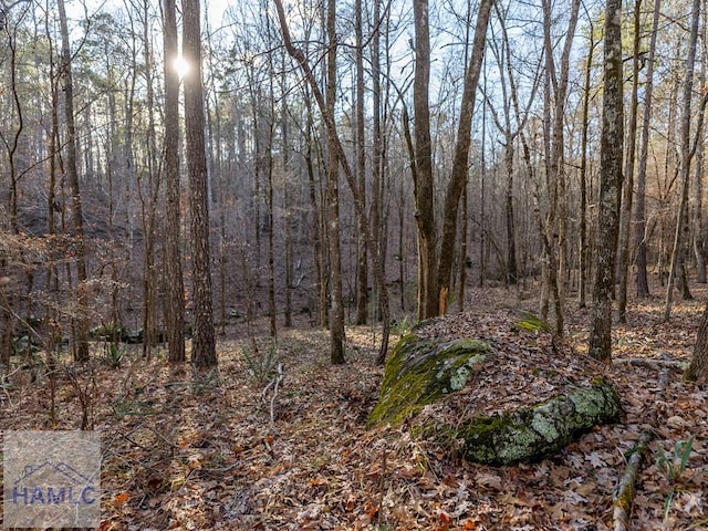 0 Dennis Creek Rd, Talbotton, GA 31827 - photo 23