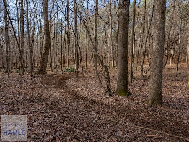 0 Dennis Creek Rd, Talbotton, GA 31827 - photo 19