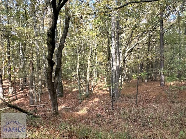 0 Dennis Creek Rd, Talbotton, GA 31827 - photo 49