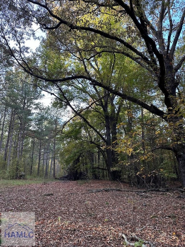 0 Dennis Creek Rd, Talbotton, GA 31827 - photo 42