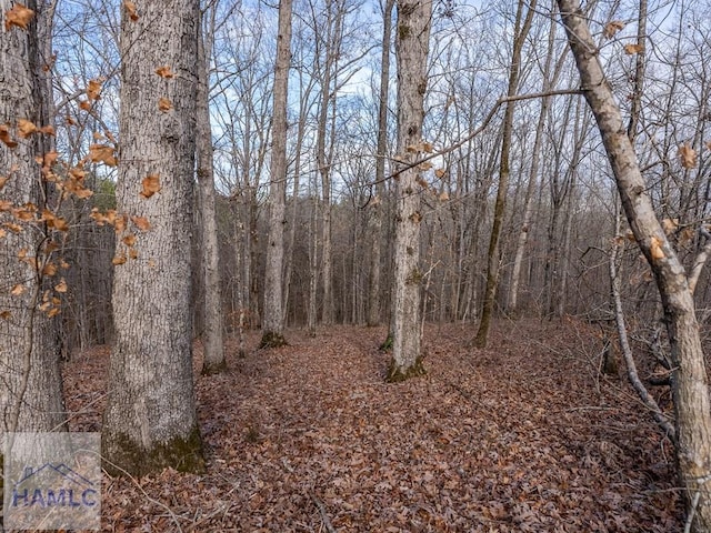 0 Dennis Creek Rd, Talbotton, GA 31827 - photo 18