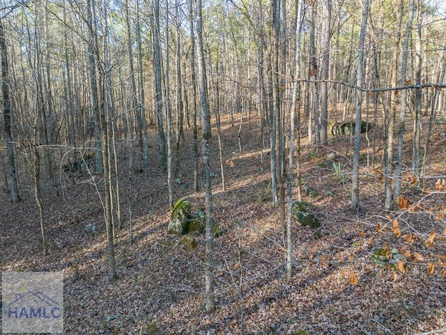 0 Dennis Creek Rd, Talbotton, GA 31827 - photo 13