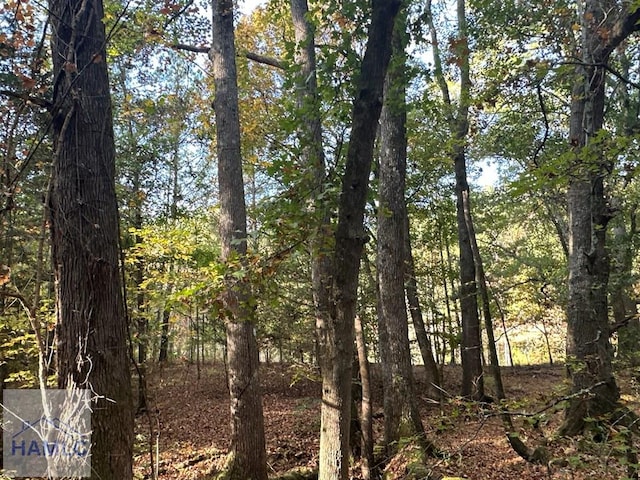 0 Dennis Creek Rd, Talbotton, GA 31827 - photo 46