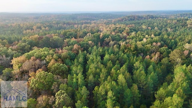0 Dennis Creek Rd, Talbotton, GA 31827 - photo 36