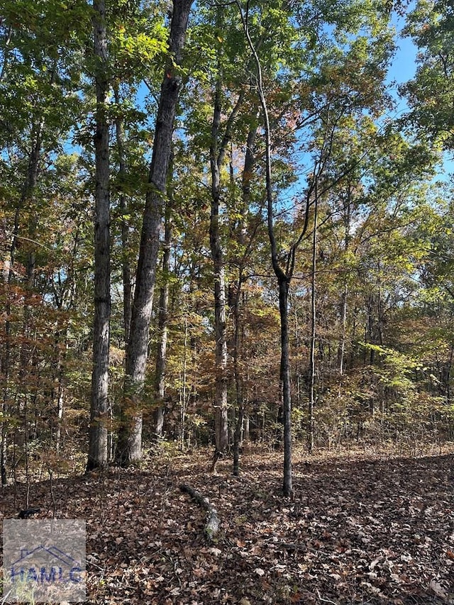 0 Dennis Creek Rd, Talbotton, GA 31827 - photo 30