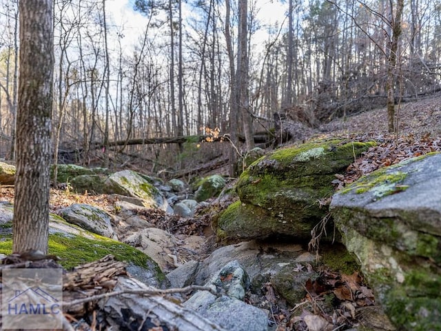 0 Dennis Creek Rd, Talbotton, GA 31827 - photo 25