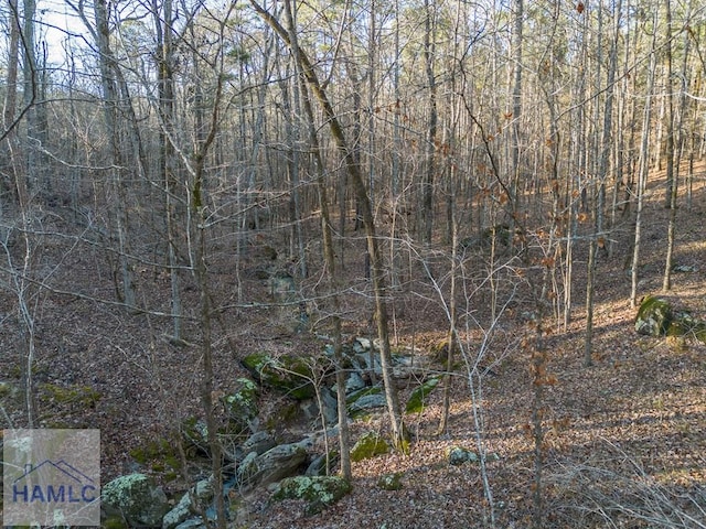 0 Dennis Creek Rd, Talbotton, GA 31827 - photo 11