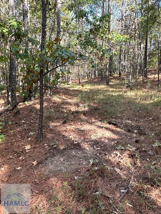 0 Dennis Creek Rd, Talbotton, GA 31827 - photo 52