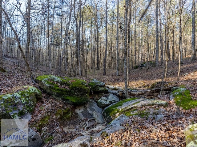 0 Dennis Creek Rd, Talbotton, GA 31827 - photo 28