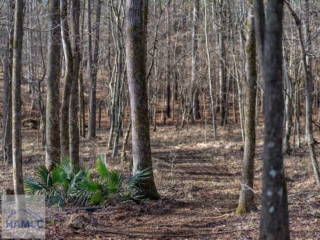 0 Dennis Creek Rd, Talbotton, GA 31827 - photo 21