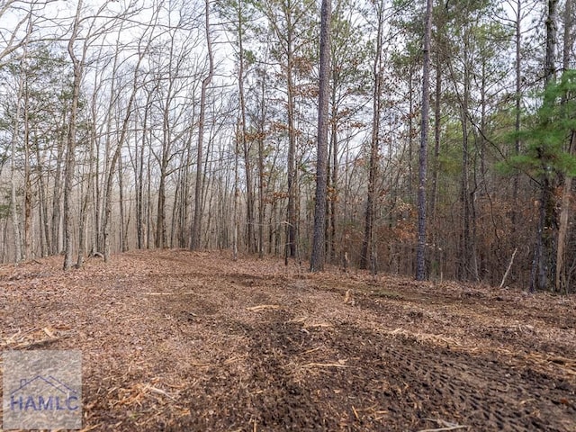 0 Dennis Creek Rd, Talbotton, GA 31827 - photo 16