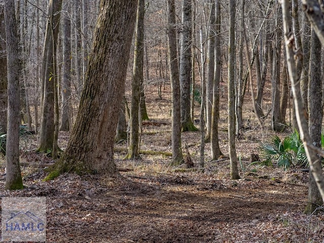 0 Dennis Creek Rd, Talbotton, GA 31827 - photo 20