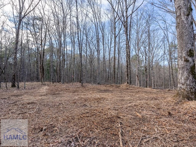 0 Dennis Creek Rd, Talbotton, GA 31827 - photo 17