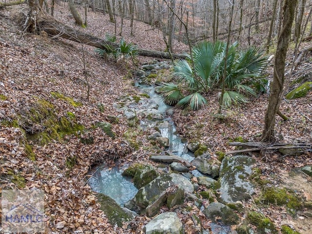 0 Dennis Creek Rd, Talbotton, GA 31827 - photo 6