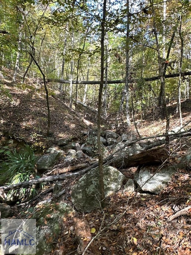 0 Dennis Creek Rd, Talbotton, GA 31827 - photo 39