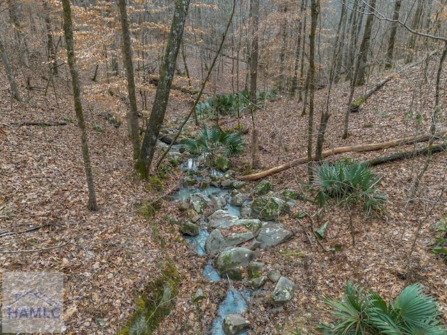0 Dennis Creek Rd, Talbotton, GA 31827 - photo 3