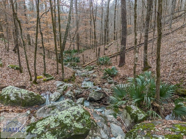 0 Dennis Creek Rd, Talbotton, GA 31827 - photo 2