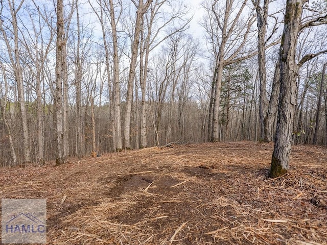 0 Dennis Creek Rd, Talbotton, GA 31827 - photo 15