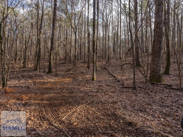 0 Dennis Creek Rd, Talbotton, GA 31827 - photo 22